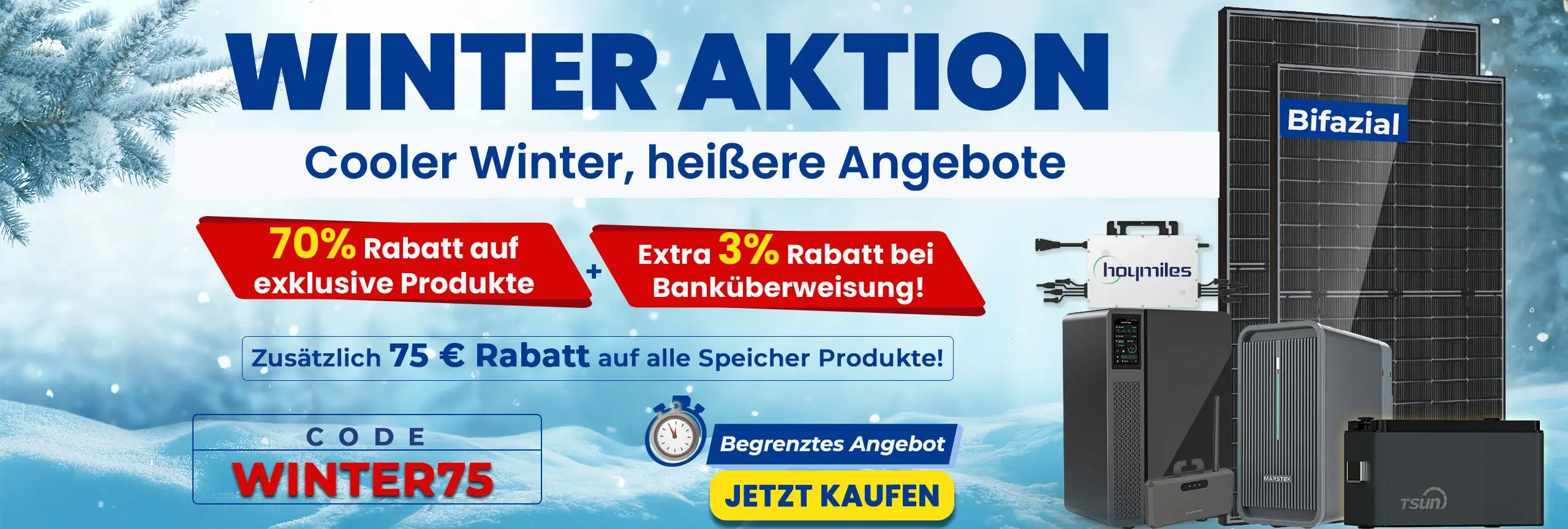 Winter Sale Web Banner