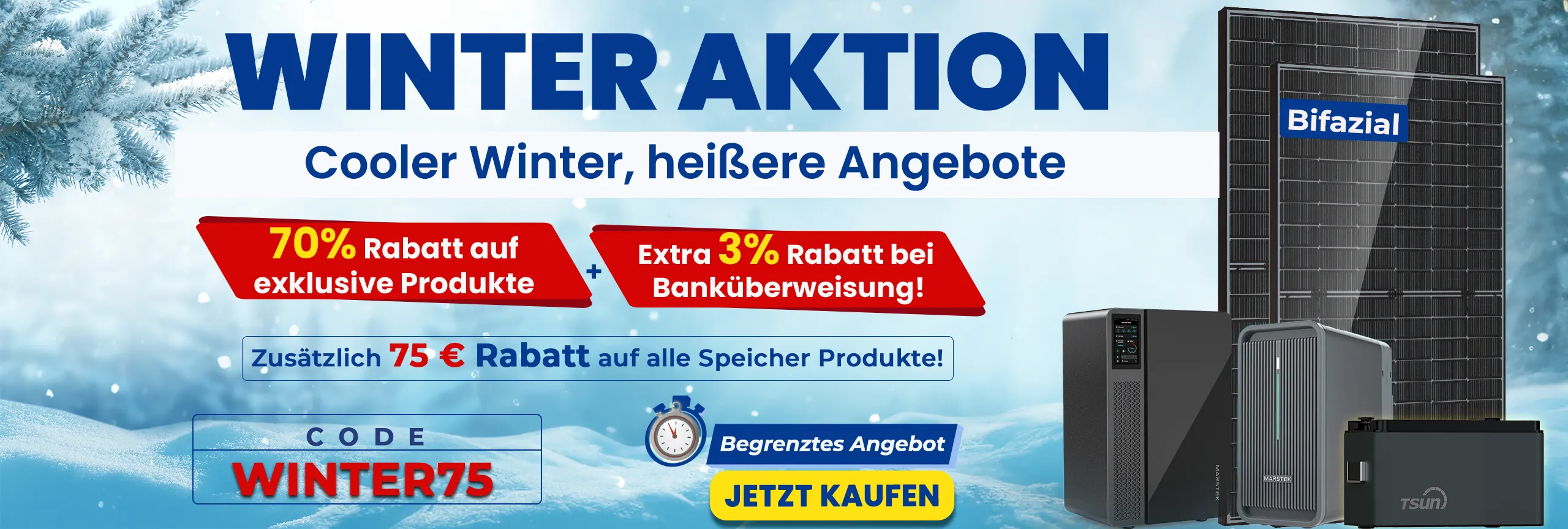 Winter Sale Web Banner