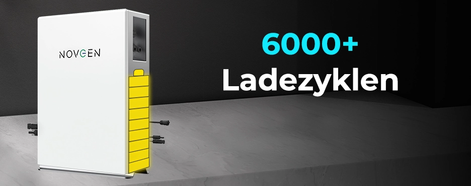 6000+ Ladezyklen